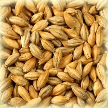 Basemalt